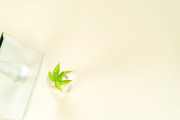 近景绿色大麻叶和镜子与美丽的散景在柔和的颜色背景。图片下载