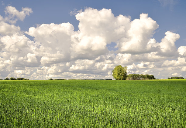 大片的云层笼罩着田野图片下载