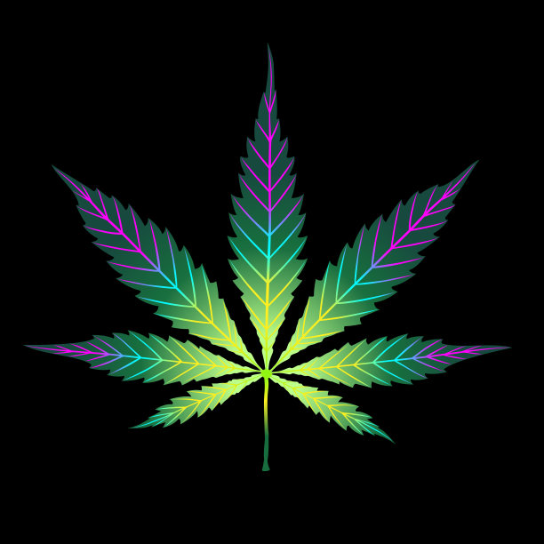 大麻彩色的叶子孤立在黑色上。形状或轮廓草本自然符号。图片下载