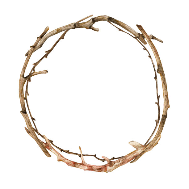 水彩树的分支圆形形状模板插图。彩色的树枝和树枝框架在白色的背景图片下载