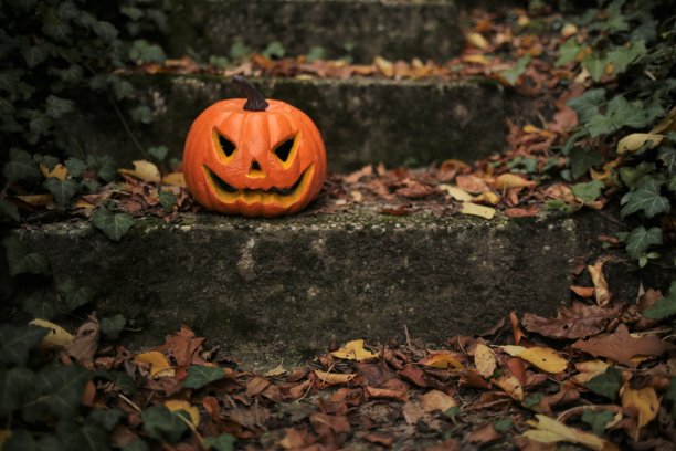 万圣节的概念。在黑暗的秋天花园里的楼梯上发光的南瓜杰克象征着秋天的节日。10月份的假期。万圣节和感恩节图片下载