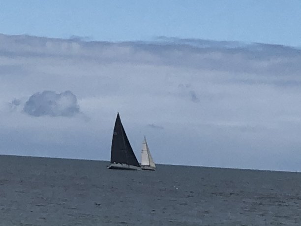 不同的爱图片下载