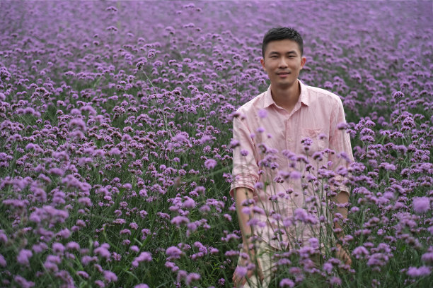一个微笑的年轻亚洲男子站在宽阔的紫色马鞭草图片下载