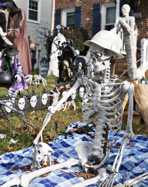 在庭院装饰中野餐骷髅图片下载