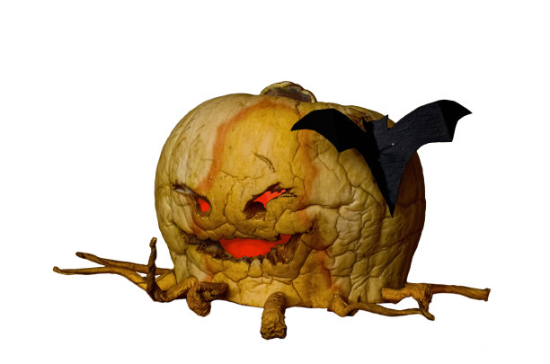 万圣节干南瓜在一个孤立的背景图片下载