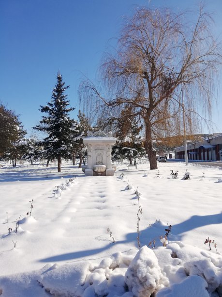 雪中的喷泉图片下载