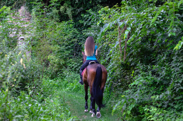 年轻美丽的黑发女孩骑在马背上。图片下载