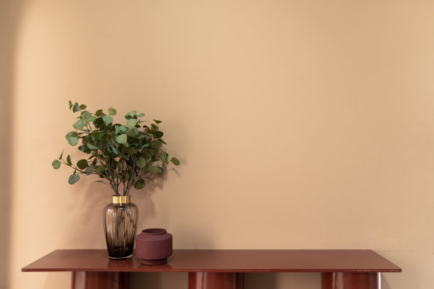 在极简现代风格的公寓/住宅室内概念/复制空间，漂亮的人造植物玻璃花瓶和红色陶瓷花瓶设置在空的红桌子上图片下载