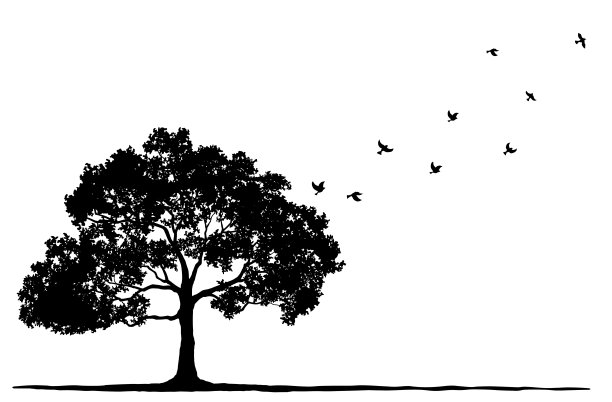 树木和鸟儿的剪影飞走了图片下载