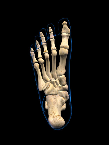 脚的骨头，在黑色背景上鞋底的平面视图图片下载