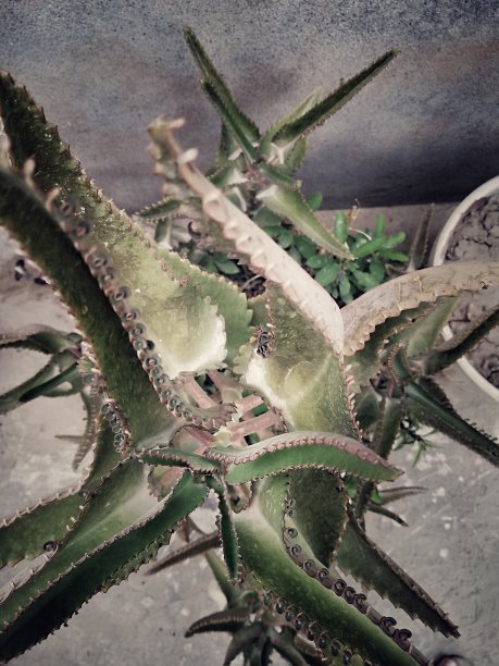 自然元素图片下载