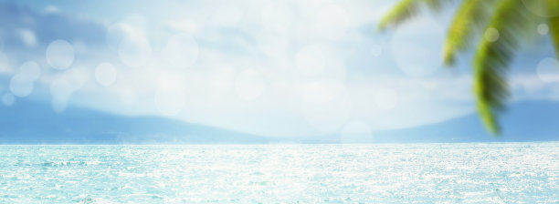 迷离的夏季自然海洋热带蓝色背景与棕榈叶和阳光的光线。大海和天空和白云。全景横幅与复制空间图片下载