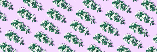 苹果树花图案。夏天明亮的背景图片下载