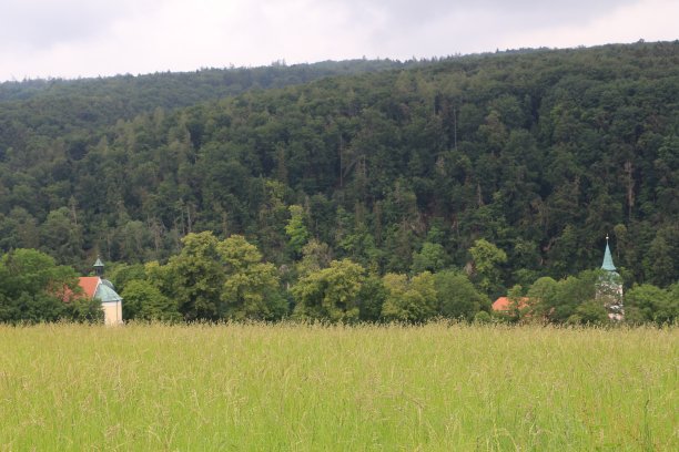 韦尔滕堡凯尔海姆修道院附近的多瑙河突破上方美丽的自然景观图片下载