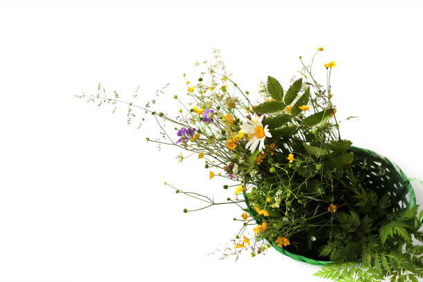 一束美丽的鲜艳的野花插在一个绿色的篮子里，孤立在白色的背景上。前视图。雏菊，森林草，黄色的野花。本空间图片下载