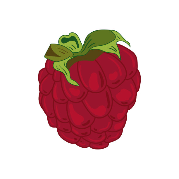 手工树莓的矢量图在白色孤立的背景上，平坦图片下载