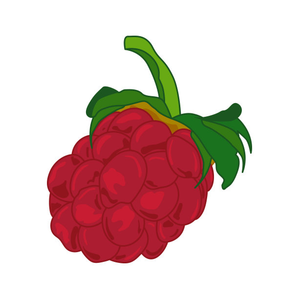 手工树莓的矢量图在白色孤立的背景上，平坦图片下载