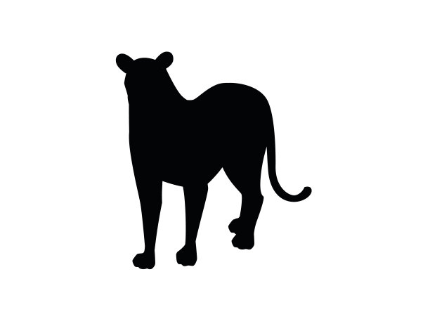 黑色剪影成年狮子非洲野生食肉猫雌性狮子卡通可爱的动物设计平面矢量插图孤立在白色的背景图片下载