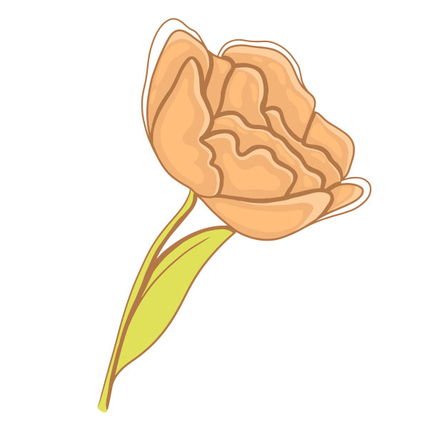 精致的橙色花与叶子图标矢量插图图片下载