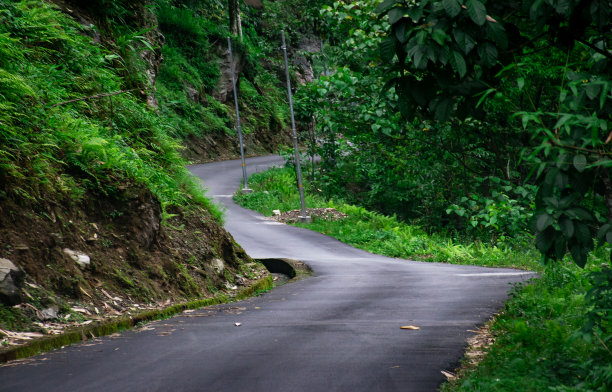 从甘托克到拉钦的喜马拉雅公路被茂密的森林包围着图片下载
