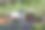 花园地精/ /花园装饰以地精的形式呈现图片下载