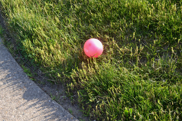 草地上的一个红色的儿童球图片下载