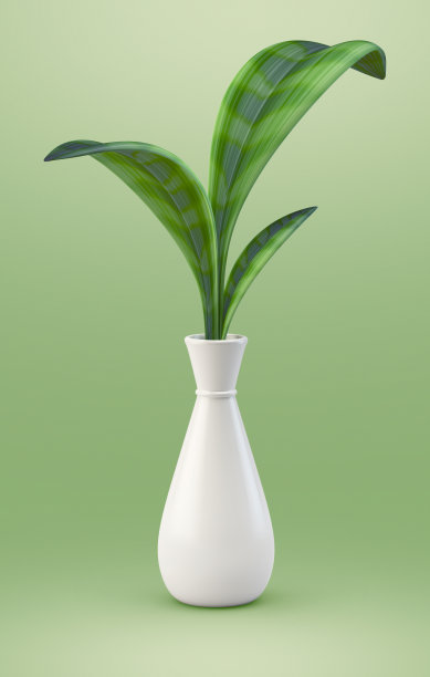 一个绿色植物在白色花瓶的3d渲染图片下载