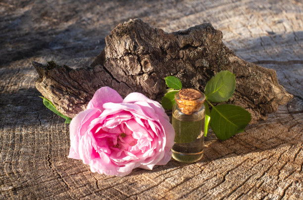 瓶子与粉色玫瑰精油在木材背景。美容治疗中的治疗方法图片下载