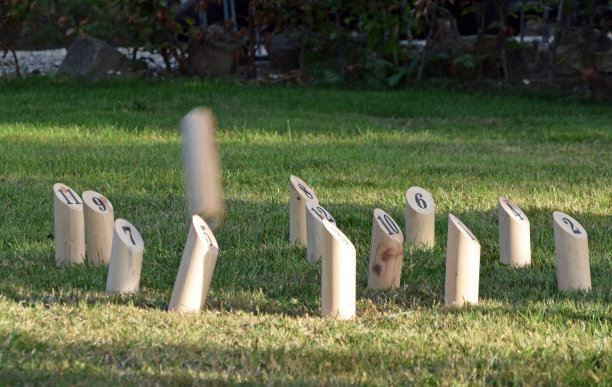 Scandanavian游戏molkky图片下载