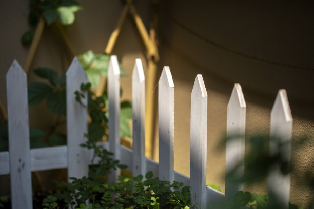 阳光下的藤蔓和篱笆图片下载