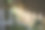 阳光下的藤蔓和篱笆图片下载