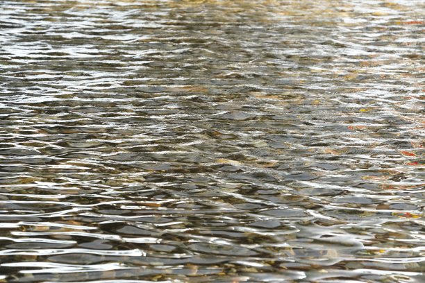 波结构图片下载