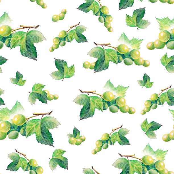 葡萄串彩色铅笔手绘无缝图案孤立图片下载