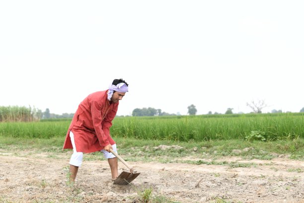 农民在田里干活图片下载