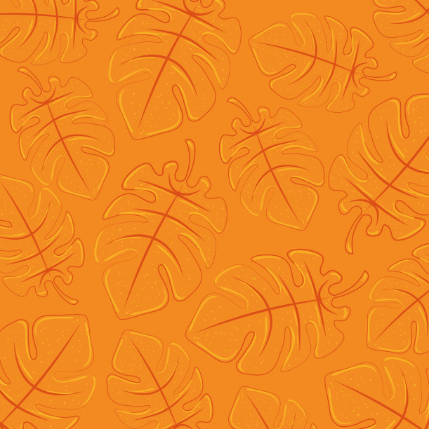 背景橙色的热带叶，夏季热带叶，夏季背景图片下载