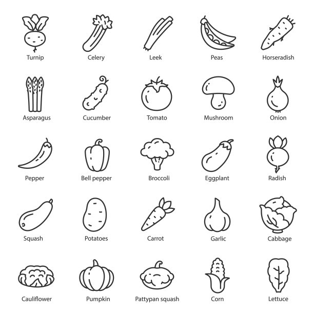 蔬菜,图标集。沙拉配料，有机营养，线性图标。可编辑的中风图片下载
