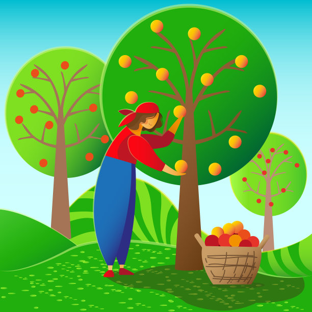 女孩，女人，在花园里收集苹果，收获，夏天，秋天，矢量插图图片下载