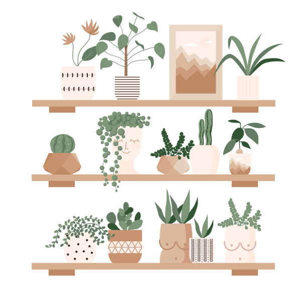 城市丛林，家庭植物设置在可爱的盆架上。园艺、温室、花盆、仙人掌、热带树叶作为家居装饰。手绘的平面矢量元素贺卡，海报，横幅图片下载
