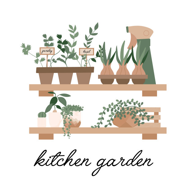 一套园艺工具。家庭厨房花园元素，喷水器，草，盆花，铁锹。植物女士印刷，海报，贴纸。赛季的爱好。有标签的烹饪香草，洋葱，欧芹，罗勒图片下载