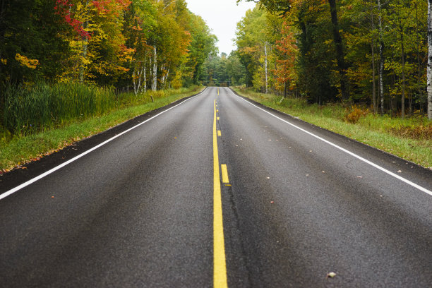 秋天森林里的路图片下载