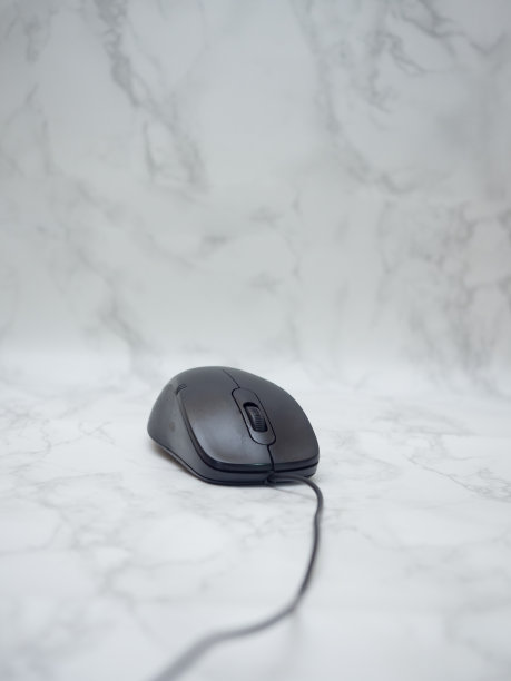 大理石地板上的一只黑老鼠图片下载