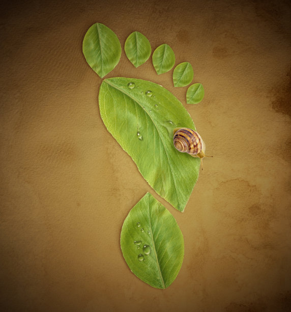 碳足迹图片下载