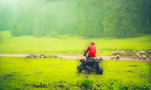 男人在夹克和帽子骑在一个阳光明媚的秋天在山路上的红色ATV。美丽的森林，山脉和蓝天景观与复制空间库存照片图片下载