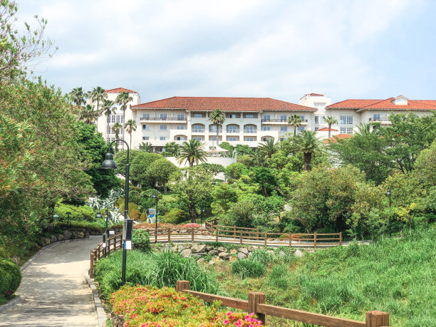 美丽的夏季公园与棕榈树和建筑物的背景。韩国济州岛图片下载