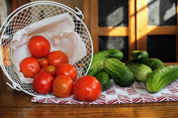 从花园里摘来的西红柿和黄瓜图片下载