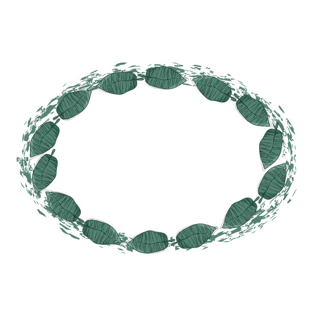 向量椭圆花环的绿色月桂叶，框架没有背景图片下载