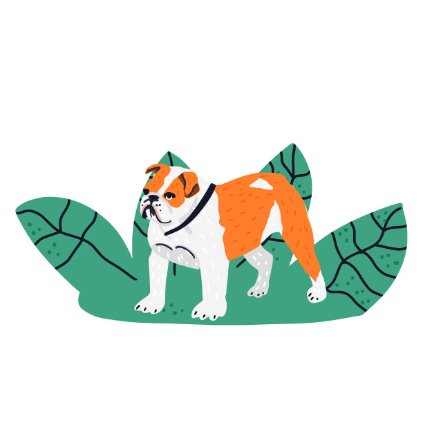 矢量插图的牛头犬。可爱的手绘矢量插图与动物图片下载