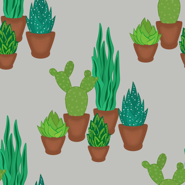 多肉植物和仙人掌在POTS手绘无缝模式图片下载