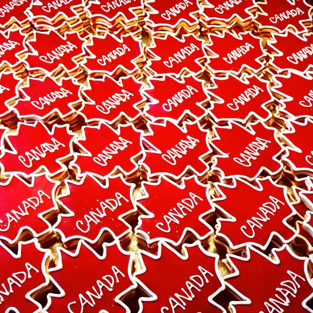 加拿大的枫叶图片下载