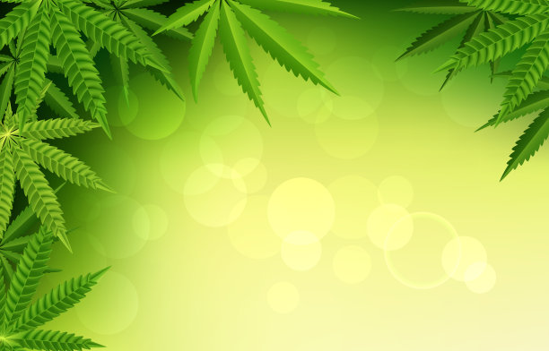 大麻叶背景图片下载